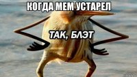 когда мем устарел 