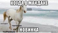 когда в макдаке новинка