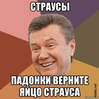 страусы падонки верните яйцо страуса