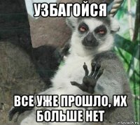 узбагойся все уже прошло, их больше нет