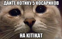 дайте котику 5 косариков на kitikat