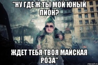 "ну где ж ты мой юный пион? ждет тебя твоя майская роза"