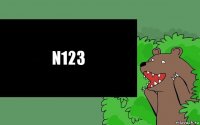 N123