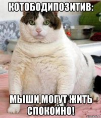 котободипозитив: мыши могут жить спокойно!