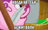 когда на тебя бежит волк
