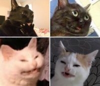 Создать мем Дохуя