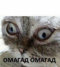 Создать мем Коли зажмурив кацапа