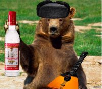 Создать мем Медведь