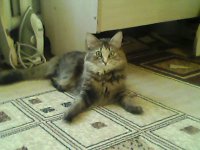 Создать мем Мой дом