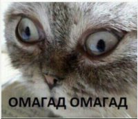 Создать мем Омагад