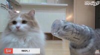 Создать мем Улисс джойса читали