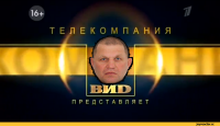 Создать мем Вид