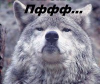 Создать мем Волчок