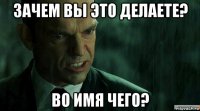 зачем вы это делаете? во имя чего?