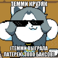 темми крутяк (темми выграла латерею 3000 баксов)