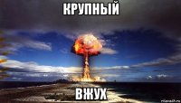 крупный вжух