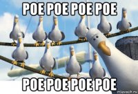 poe poe poe poe poe poe poe poe