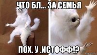 что бл... за семья пох. у .истофф!?