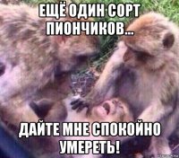 ещё один сорт пиончиков... дайте мне спокойно умереть!