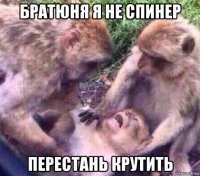 братюня я не спинер перестань крутить