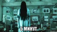  5 минут