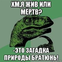 хм,я жив или мёртв? -это загадка природы братюнь!