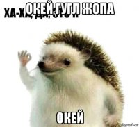 окей гугл жопа окей