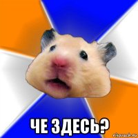  че здесь?