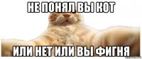 не понял вы кот или нет или вы фигня