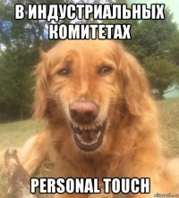 в индустриальных комитетах personal touch