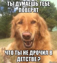 ты думаешь тебе поверят что ты не дрочил в детстве ?