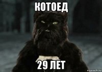 котоед 29 лет