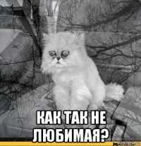  как так не любимая?