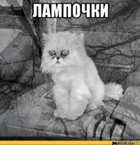 лампочки 