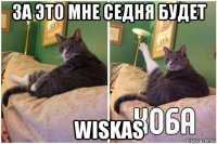 за это мне седня будет wiskas