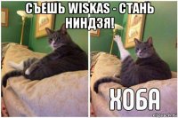 съешь wiskas - стань ниндзя! 