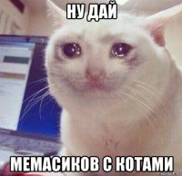 ну дай мемасиков с котами