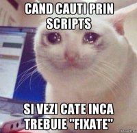 cand cauti prin scripts si vezi cate inca trebuie "fixate"