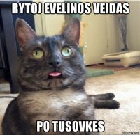 rytoj evelinos veidas po tusovkes