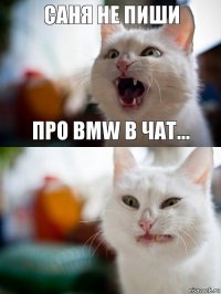 Саня не пиши про BMW в чат...