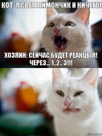 Кот: я сьел лимончик и ничего! Хозяин: сейчас будет реакцыя! через... 1..2.. 3!!!