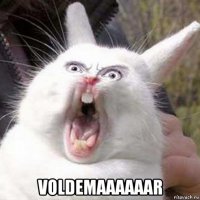  voldemaaaaaar