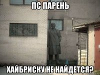 пс парень хайбриску не найдется?