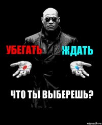 убегать ждать что ты выберешь?