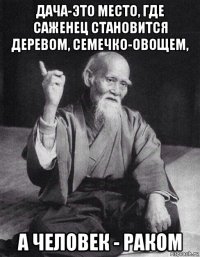 дача-это место, где саженец становится деревом, семечко-овощем, а человек - раком