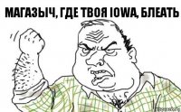 Магазыч, где твоя Iowa, блеать