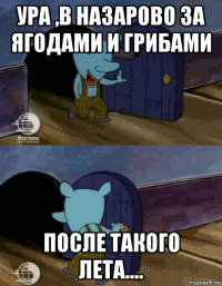 ура ,в назарово за ягодами и грибами после такого лета....