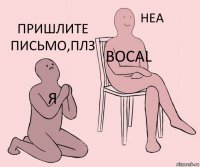 я bocal пришлите письмо,плз