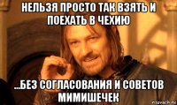 нельзя просто так взять и поехать в чехию ...без согласования и советов мимишечек