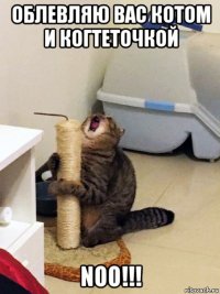 облевляю вас котом и когтеточкой noo!!!
